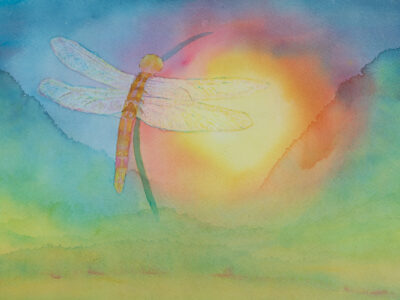 Gary Hindmarsh Dragonfly at Sunrise