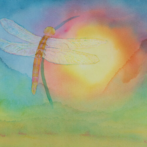 Gary Hindmarsh Dragonfly at Sunrise