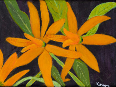Kusum Jareth the Orange bloom