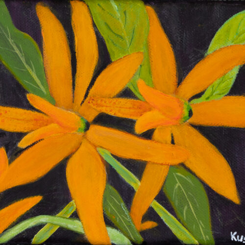 Kusum Jareth the Orange bloom